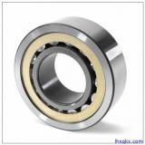 FAG N319-E-M1-C3 Cylindrical Roller Bearings