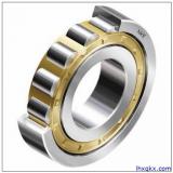 FAG NJ2207-E-TVP2-C3 Cylindrical Roller Bearings